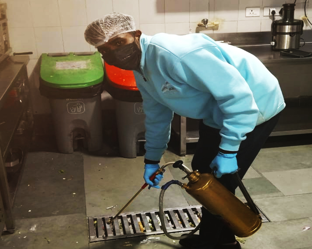 Commercial Pest Control Services
