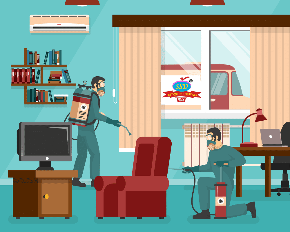 Termite Residential Pest Control Services